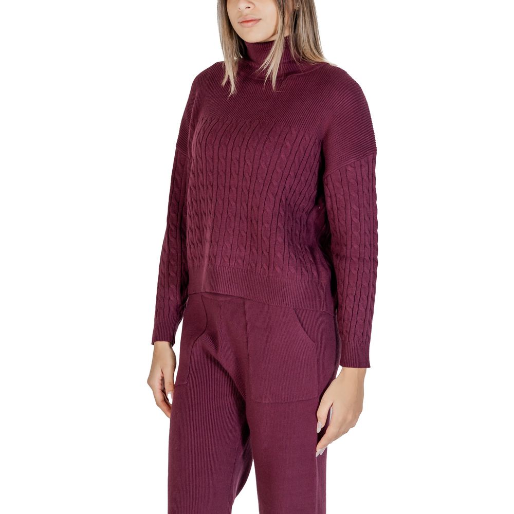 Cleré Bordeaux Viscose Turtleneck