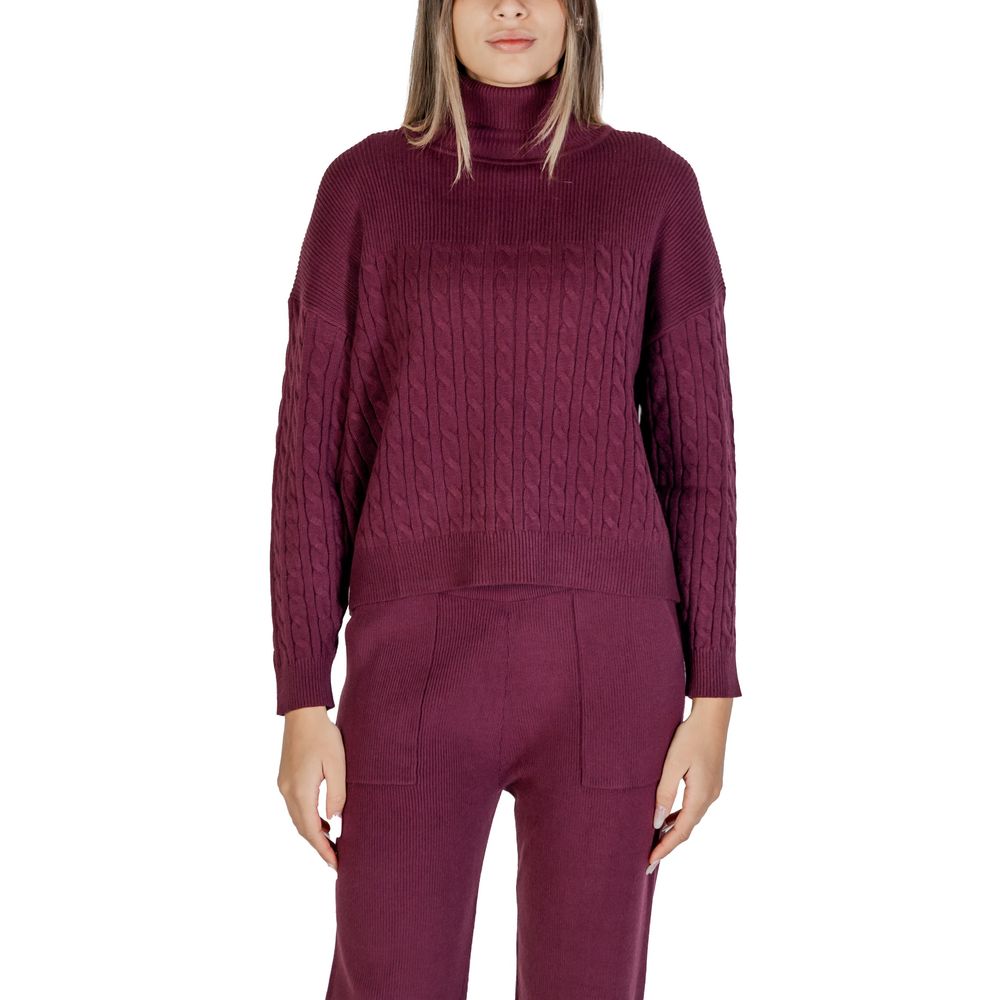 Cleré Bordeaux Viscose Turtleneck