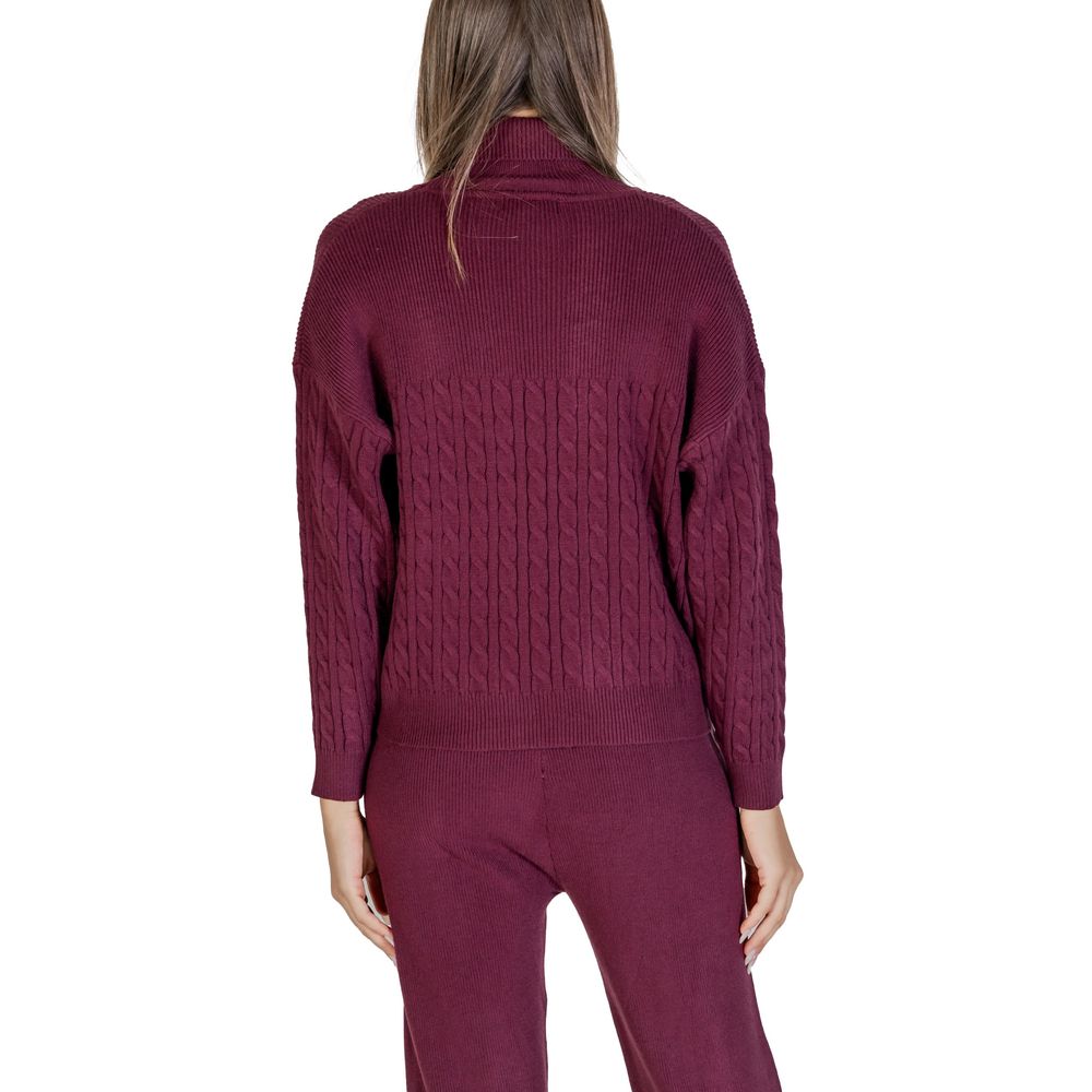 Cleré Bordeaux Viscose Turtleneck